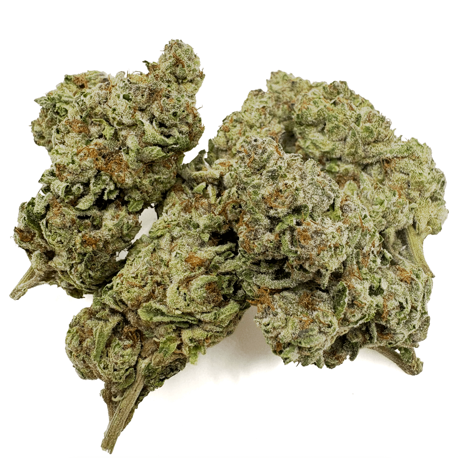 BackWoodz Black Maple THCA Flower Bud