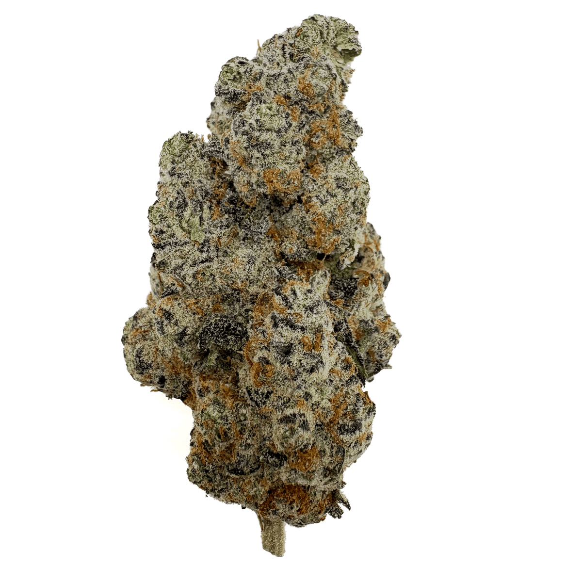 Frozen Dream THCA Bud