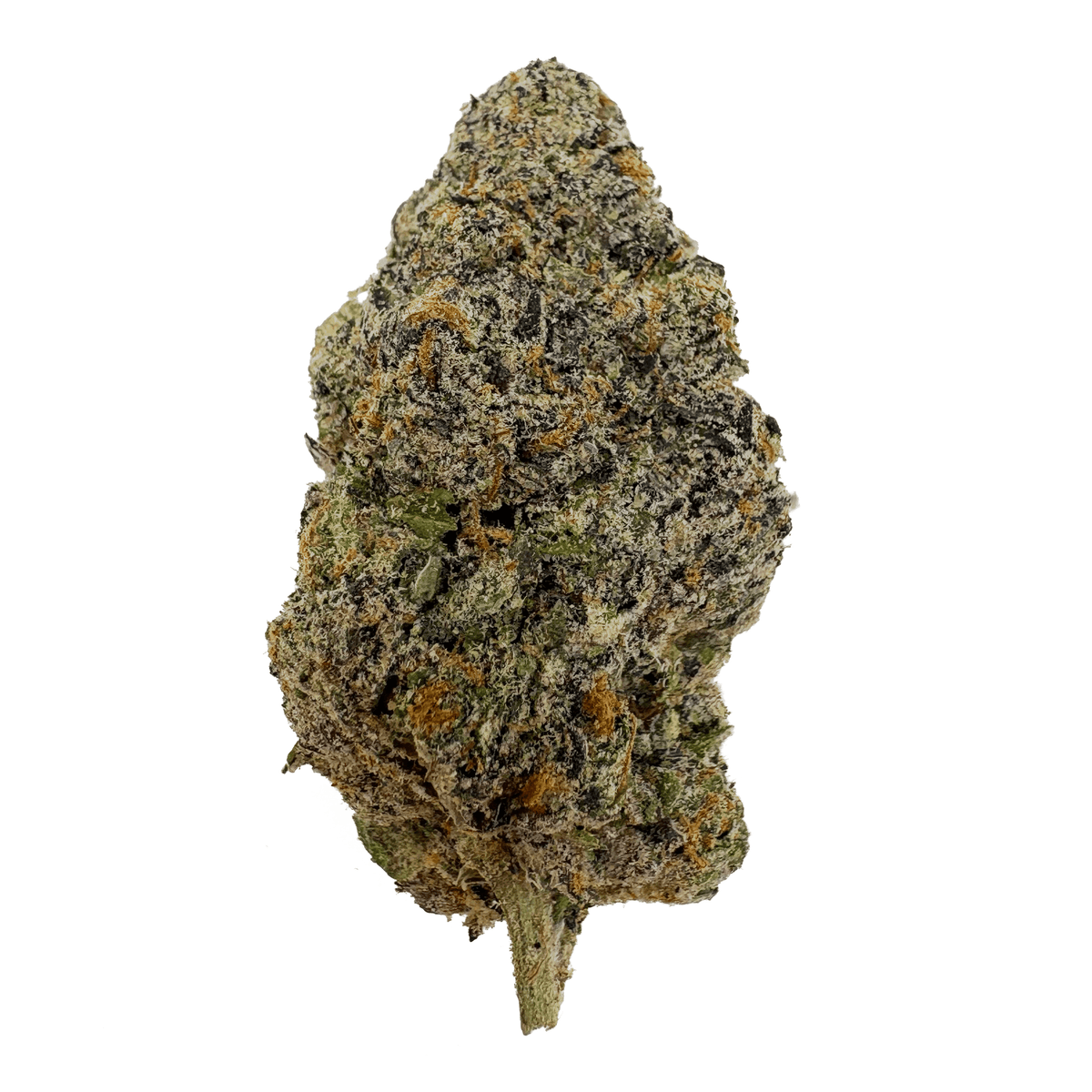 GrandDaddy Purp THCA Bud