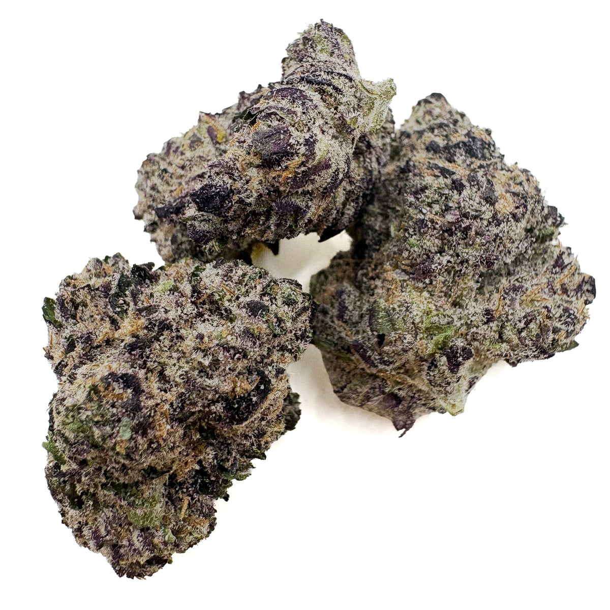 Close-up of Hash Burger buds on a white background