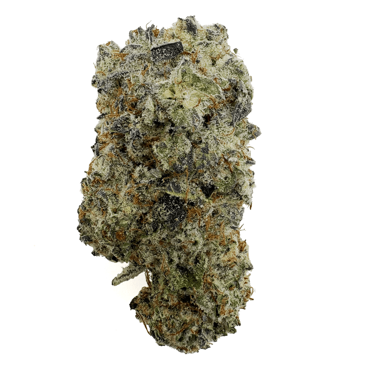 OreoZ - thca flower - BackWoodz 