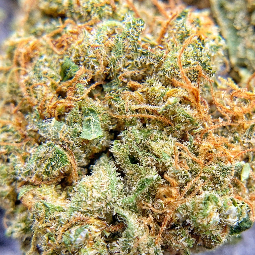 Indoor BaOx (Hydro) CBD Flower Macro shot - BackWoodz CBD