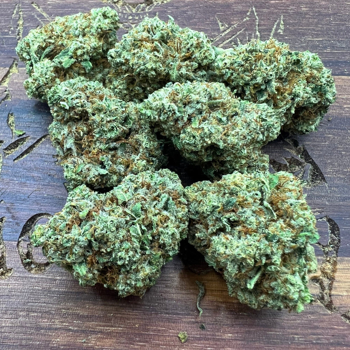 Gary Poppins (THC-A)