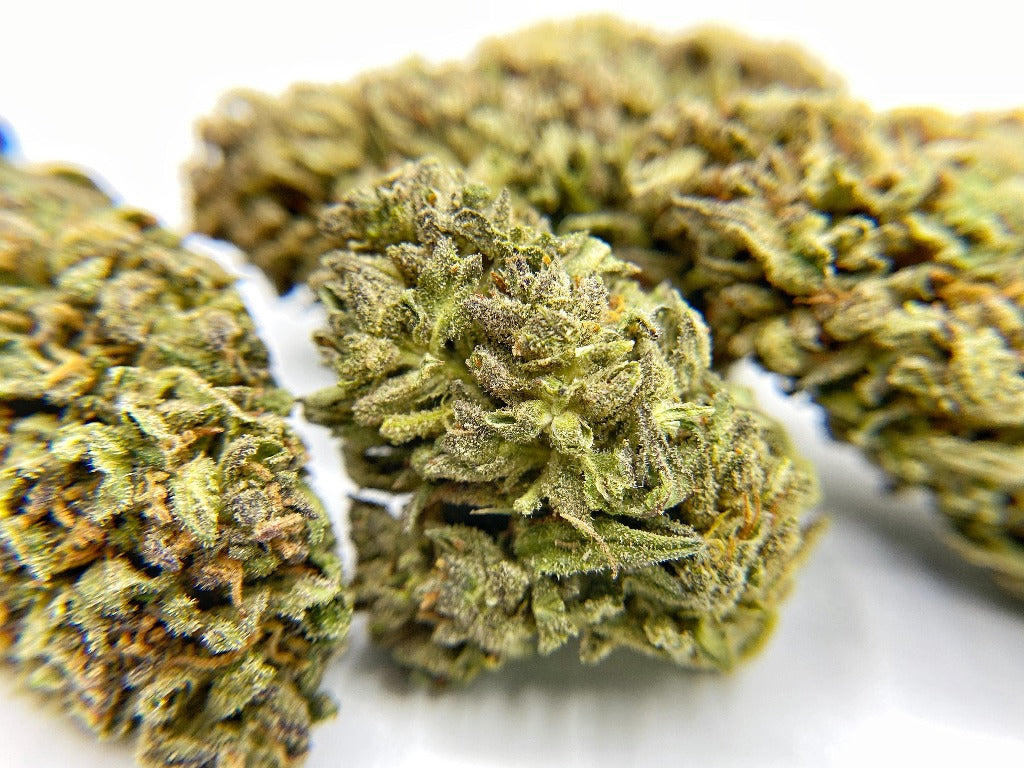 Gorilla Glue CBD Flower - BackWoodz CBD